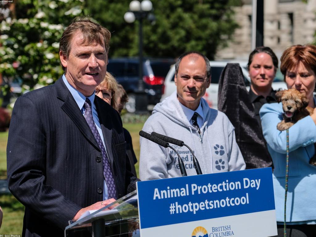 គន្លឹះសុវត្ថិភាពសម្រាប់សត្វនៅក្នុងផ្ទះ