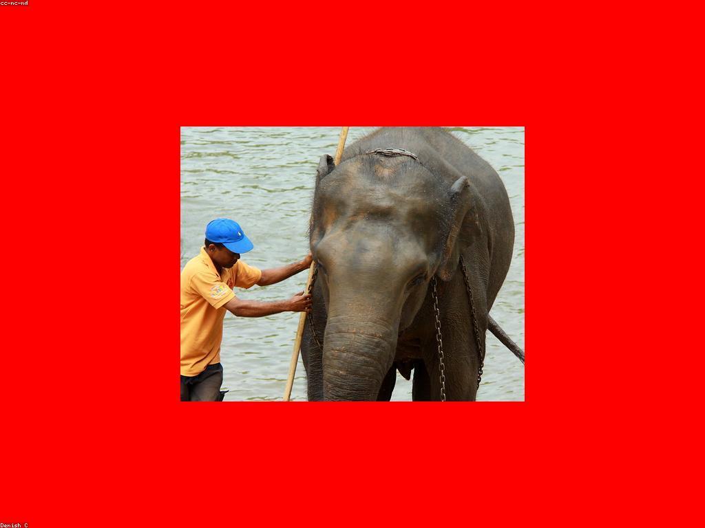 សំណួរញឹកញាប់