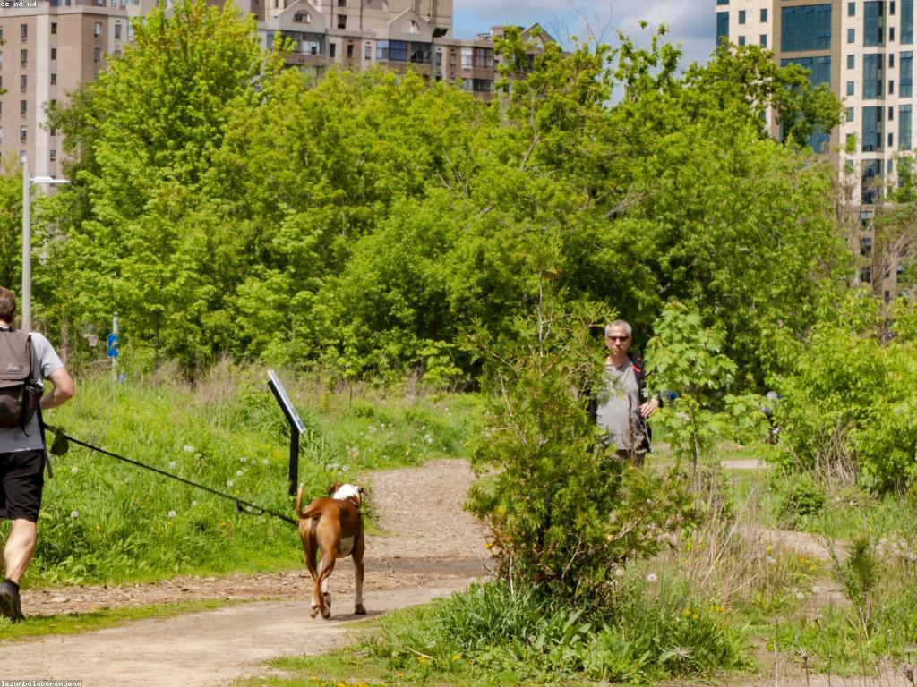 សំណួរញឹកញាប់អំពីសកម្មភាពកម្សាន្ត