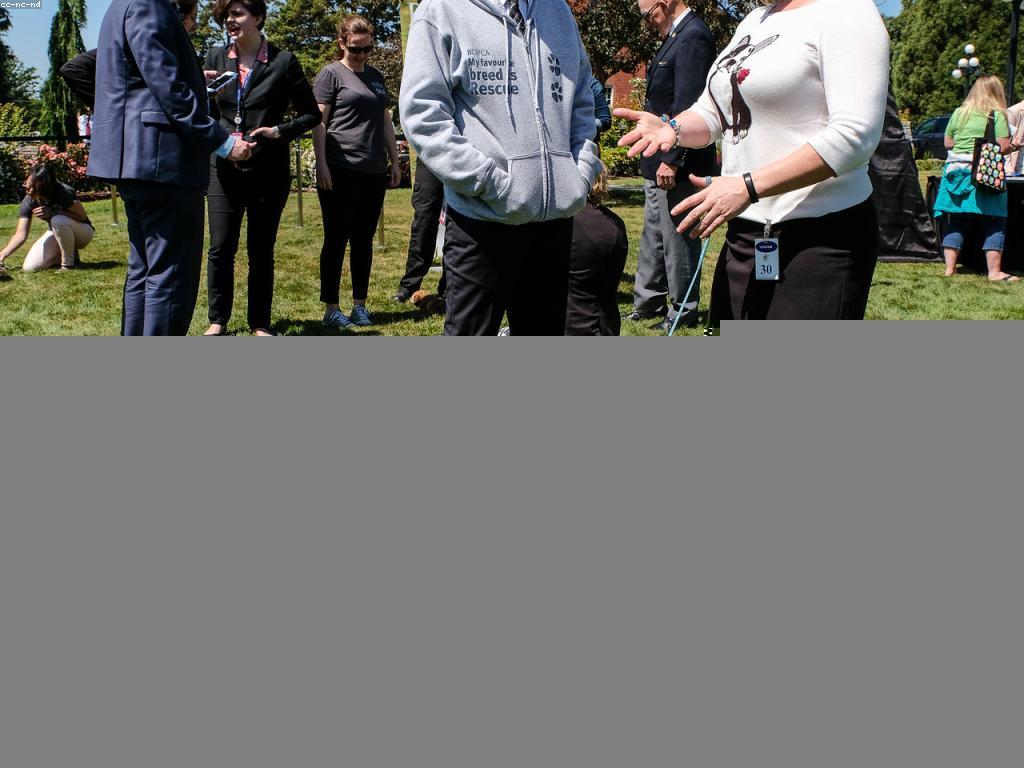 គន្លឹះសុវត្ថិភាពសម្រាប់សត្វនៅរដូវរងារ