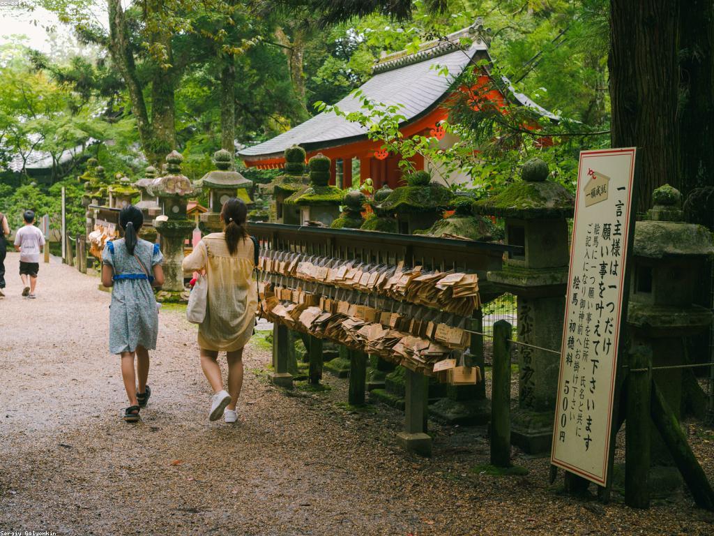 គន្លឹះសុវត្ថិភាពសម្រាប់ការធ្វើដំណើរជាមួយសត្វ