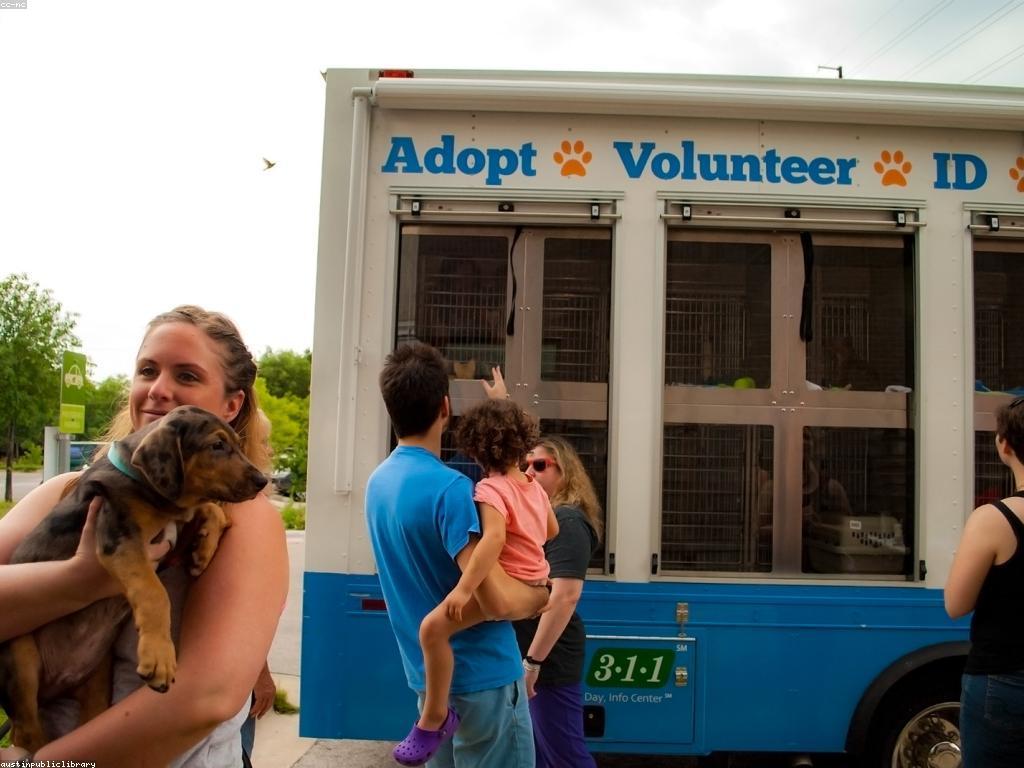 គន្លឹះសុវត្ថិភាពសម្រាប់សុខភាពសត្វ