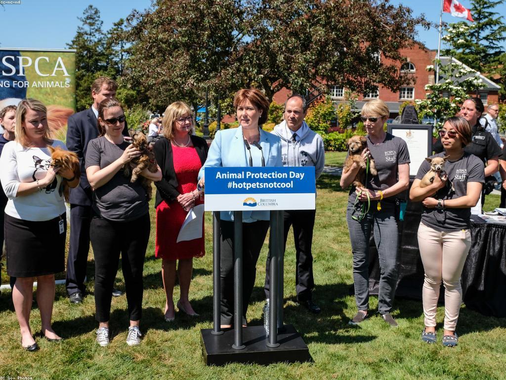 គន្លឹះសុវត្ថិភាពសម្រាប់សត្វការពារពីគ្រោះថ្នាក់