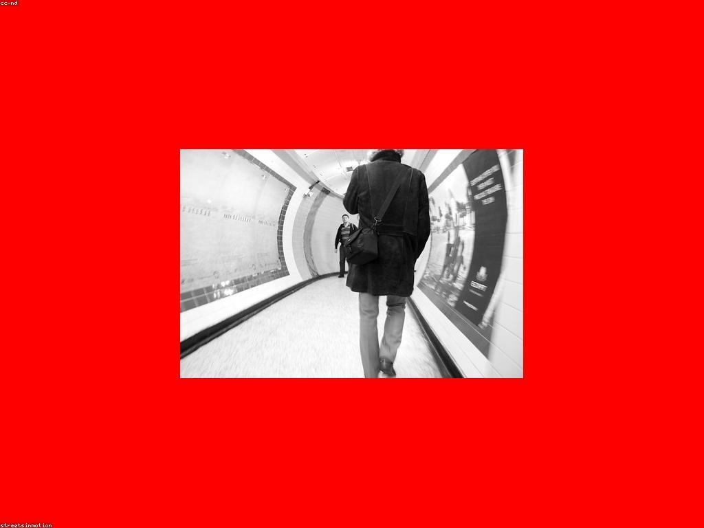 សំណួរញឹកញាប់អំពីជីវិត