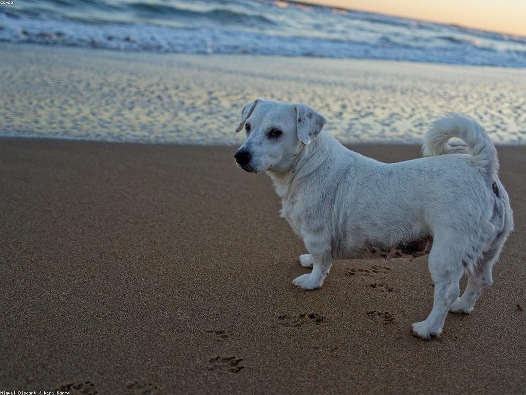 សំណួរញឹកញាប់អំពីការធ្វើដំណើរ